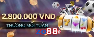 zo88